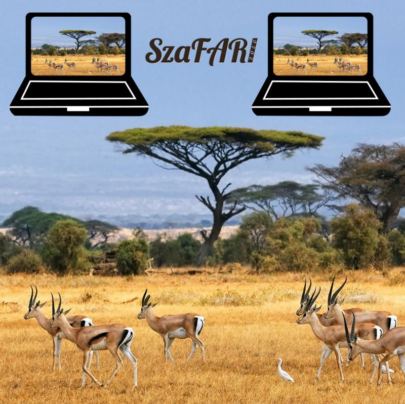 SzaFARi 2020