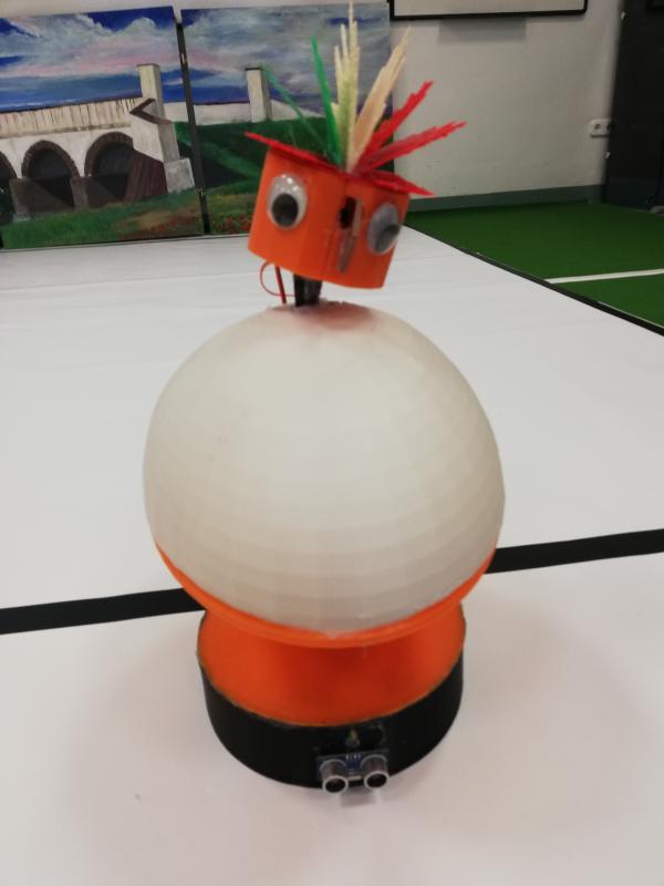 MIRK2019