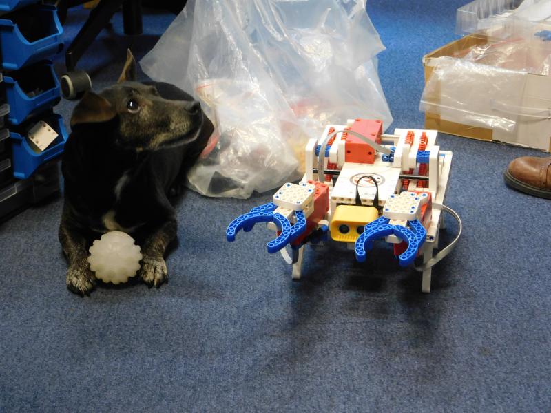 Zserbó kutya és a robot