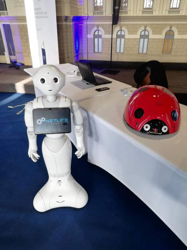 Pepper robot és a Katicabogár