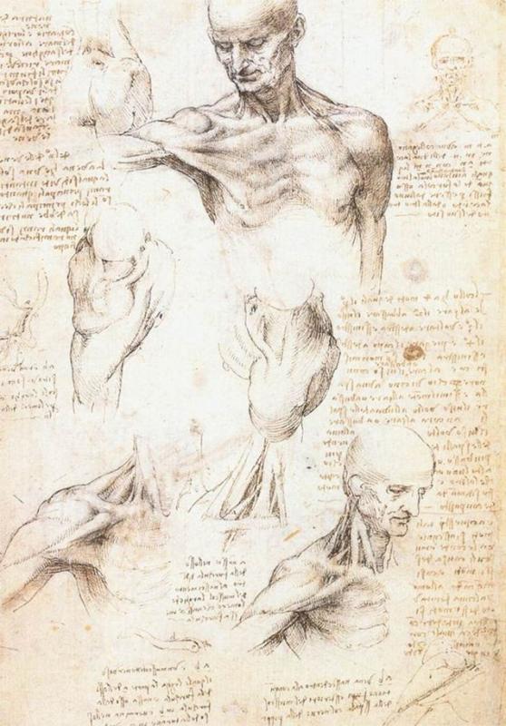 Leonardo