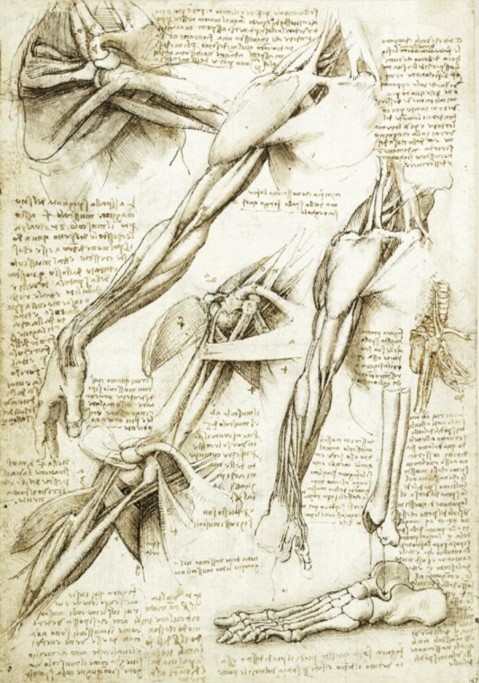 Leonardo
