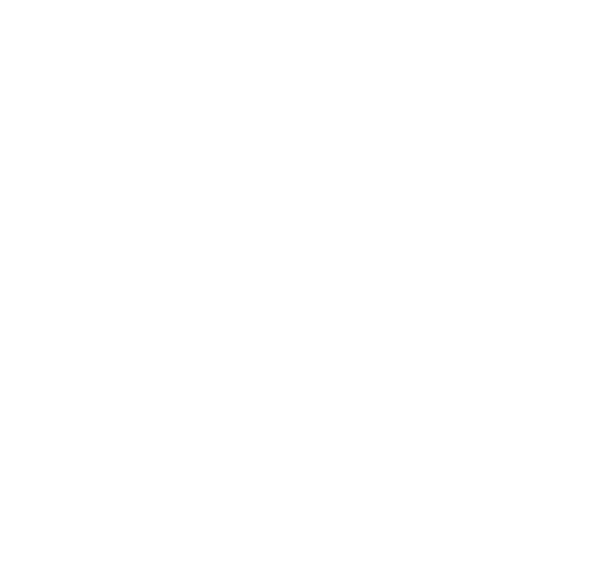 NJSZT logo fehér